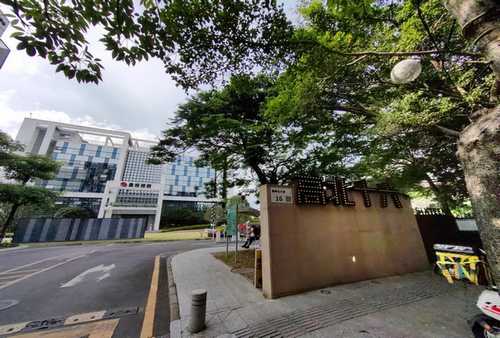 四川如何成立婚介所怎么办