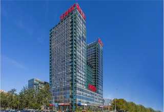 延边鸡冠花价格