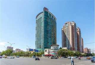 上海松木木板供应商