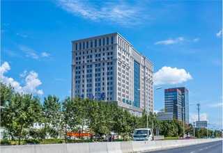 嘉兴小区盆栽菜基地价格